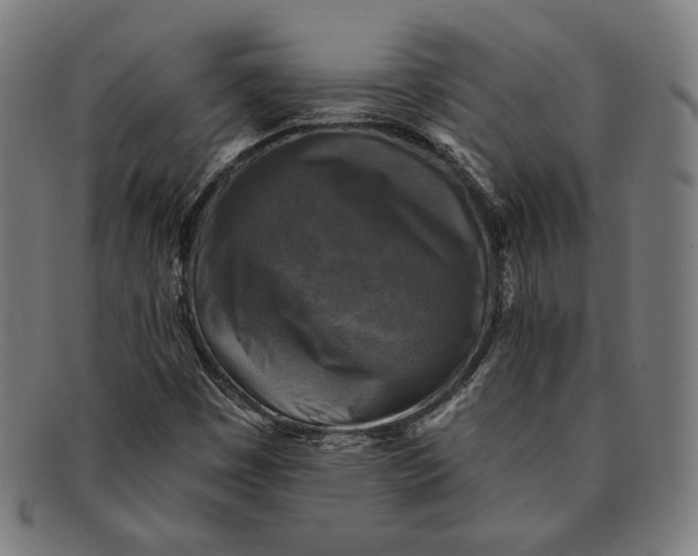 X0000091291449200708311308