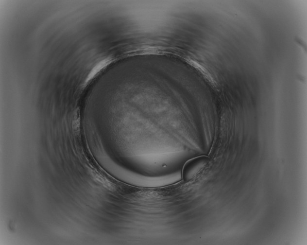 X0000091291450200708311308