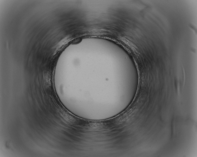 X0000091291451200708311308