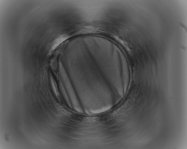 X0000091291453200708311308