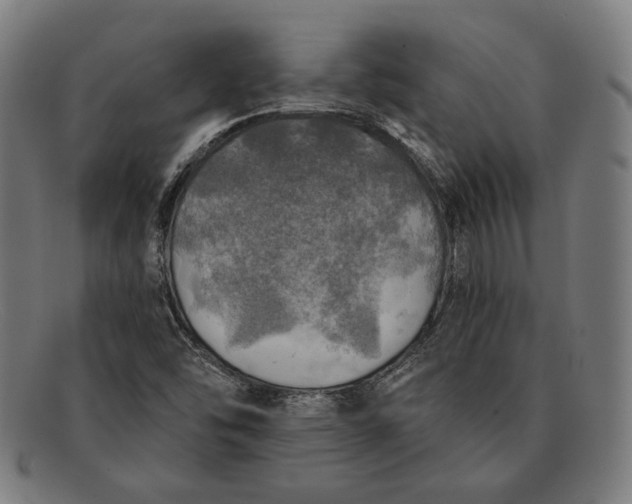 X0000091291454200708311308