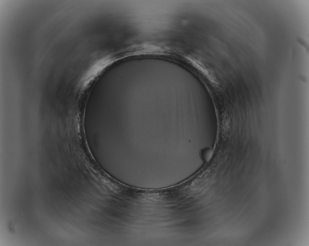 X0000091291455200708311307