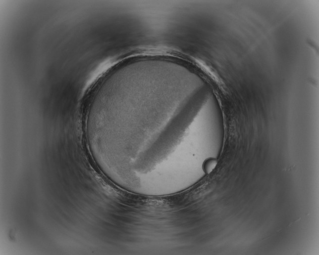 X0000091291456200708311307