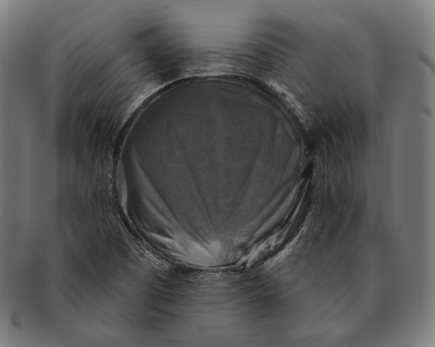 X0000091291457200708311307