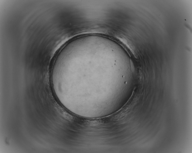 X0000091291460200708311307