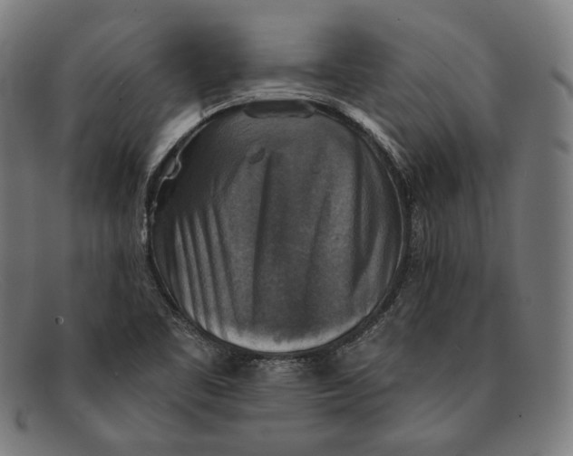 X0000091291461200708311307