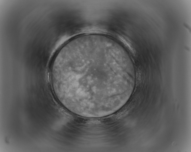 X0000091291462200708311307