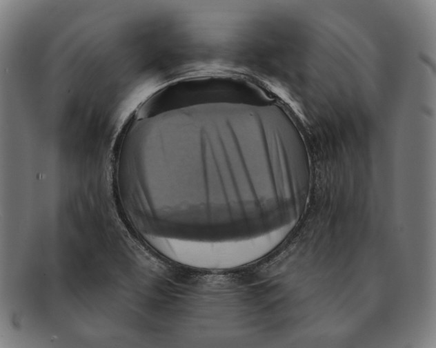 X0000091291463200708311307