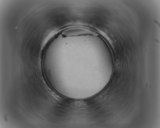 X0000091291464200708311307