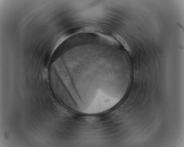 X0000091291465200708311307