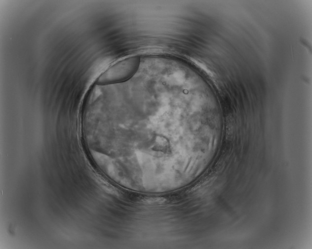 X0000091291467200708311307