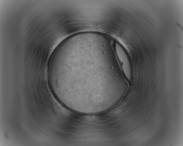 X0000091291468200708311307