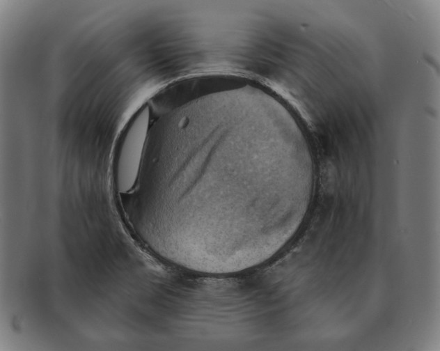 X0000091291469200708311307