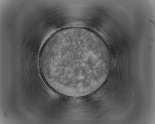 X0000091291470200708311307