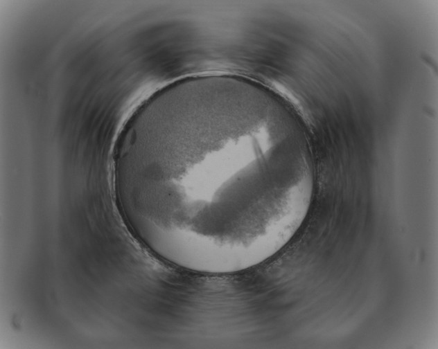 X0000091291472200708311307