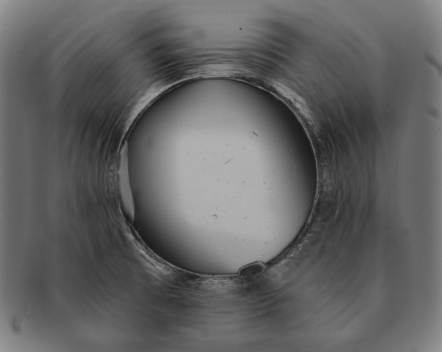 X0000091291473200708311307