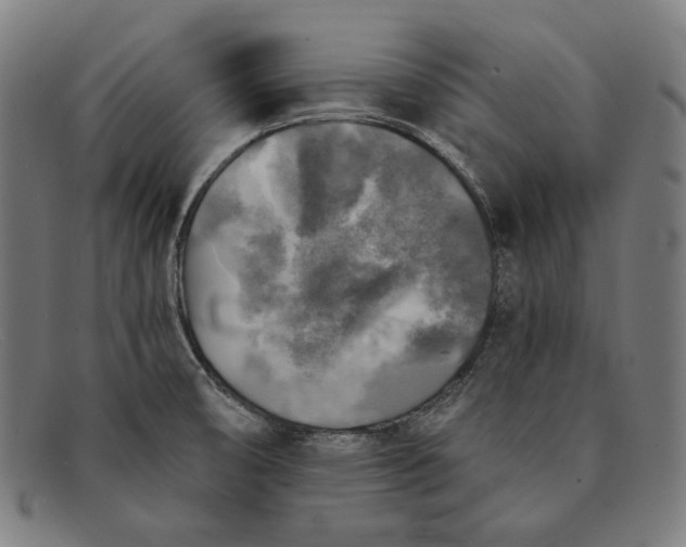 X0000091291474200708311307