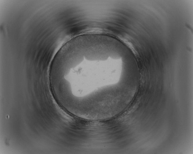 X0000091291475200708311307