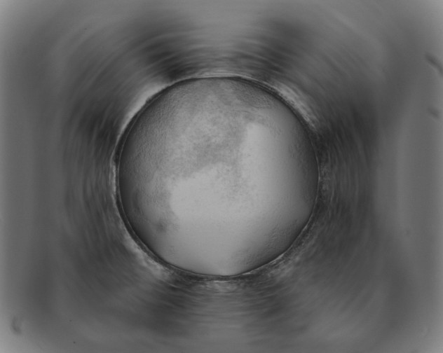 X0000091291476200708311307