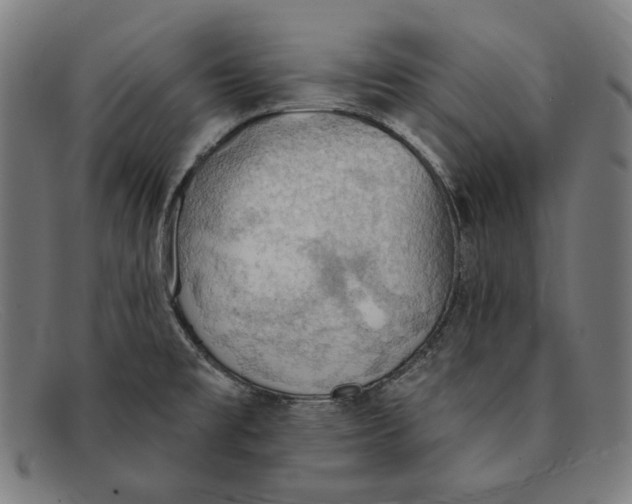 X0000091291477200708311307