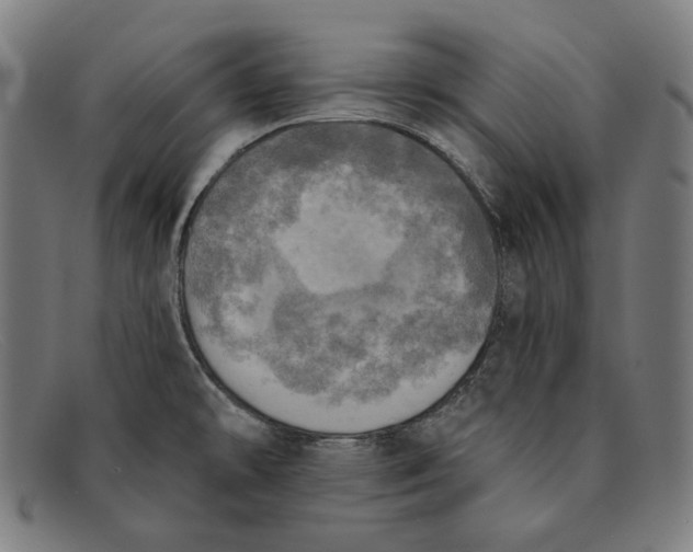 X0000091291478200708311307