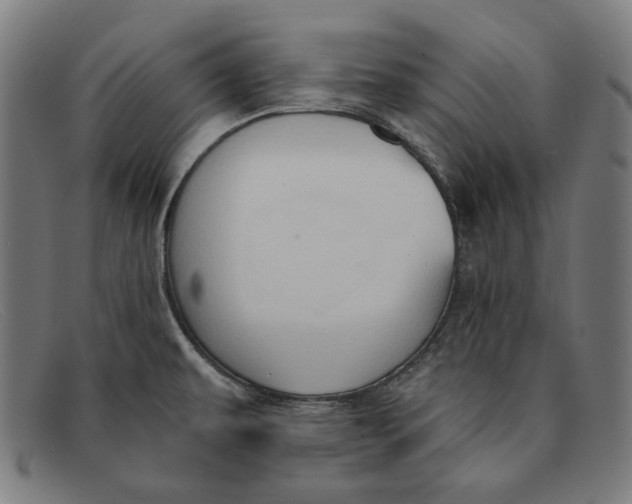 X0000091291479200708311307