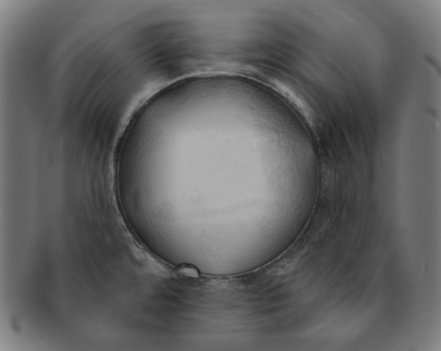 X0000091291480200708311307