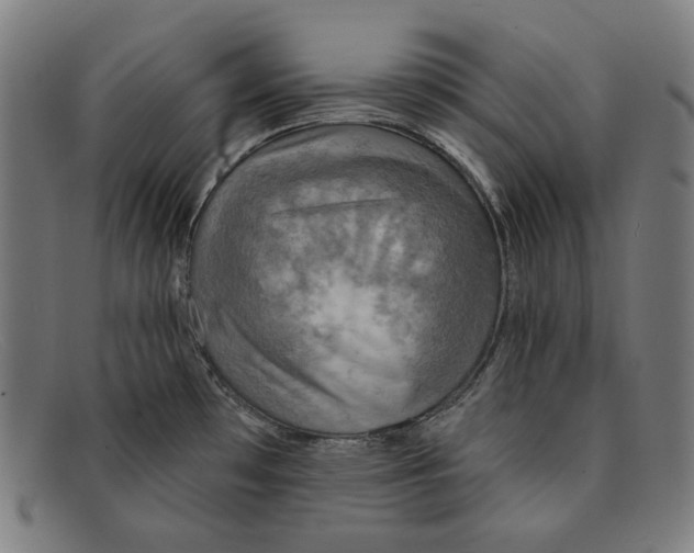 X0000091291481200708311307