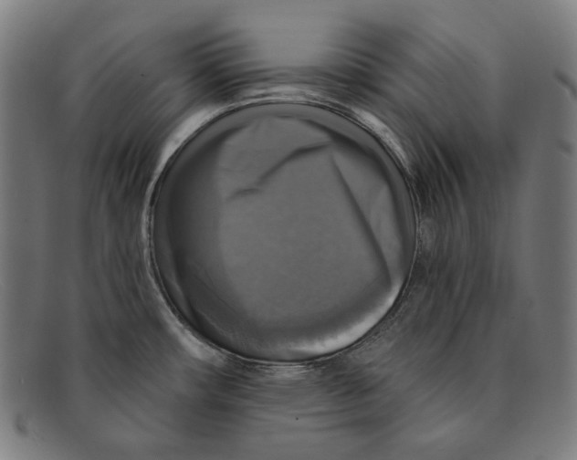 X0000091291482200708311307