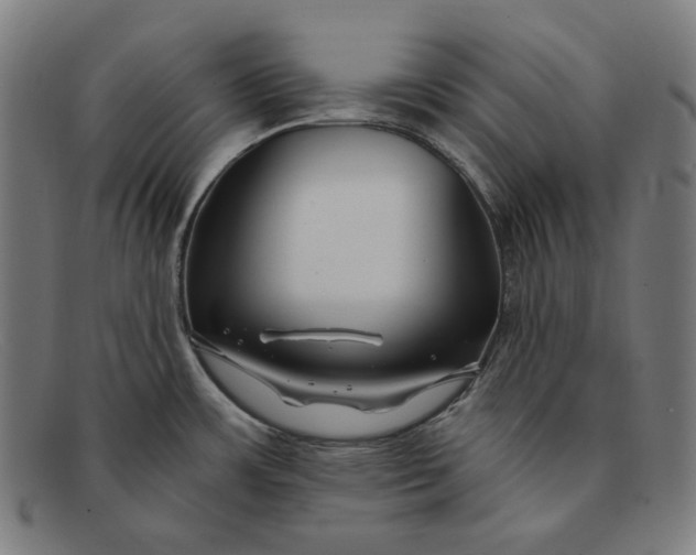 X0000091291483200708311307