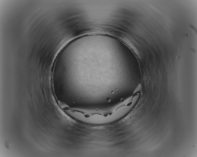 X0000091291484200708311307