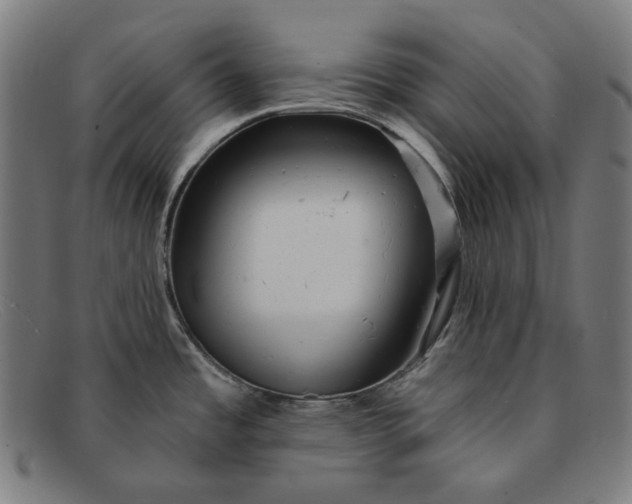 X0000091291485200708311307