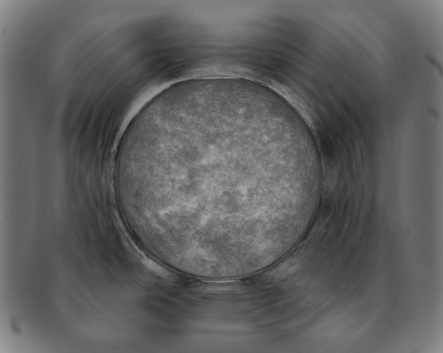 X0000091291486200708311307