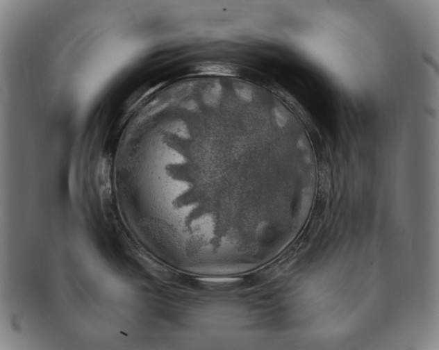 X0000091291487200708311307