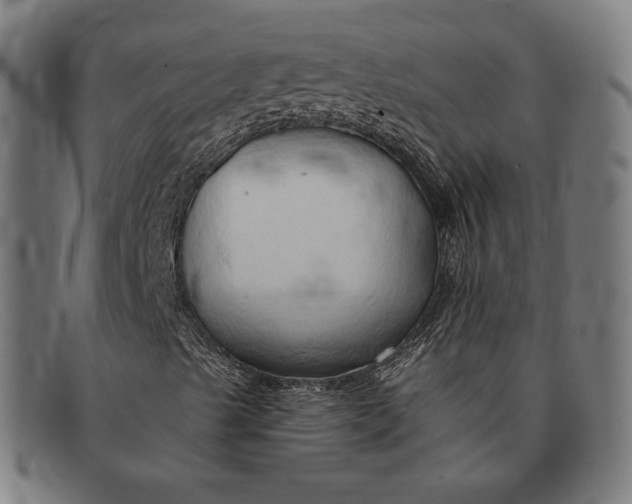 X0000091291489200708311306