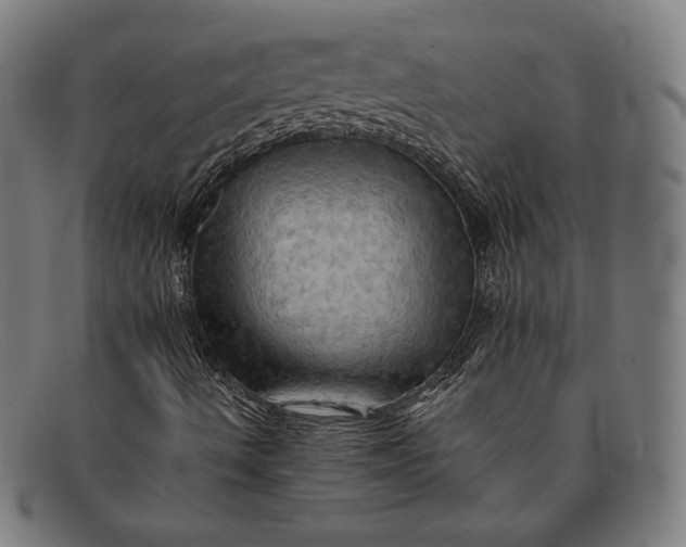 X0000091291490200708311306