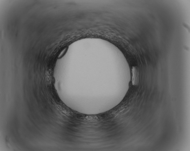 X0000091291491200708311306