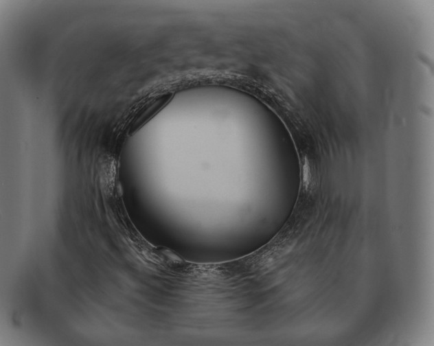 X0000091291492200708311306