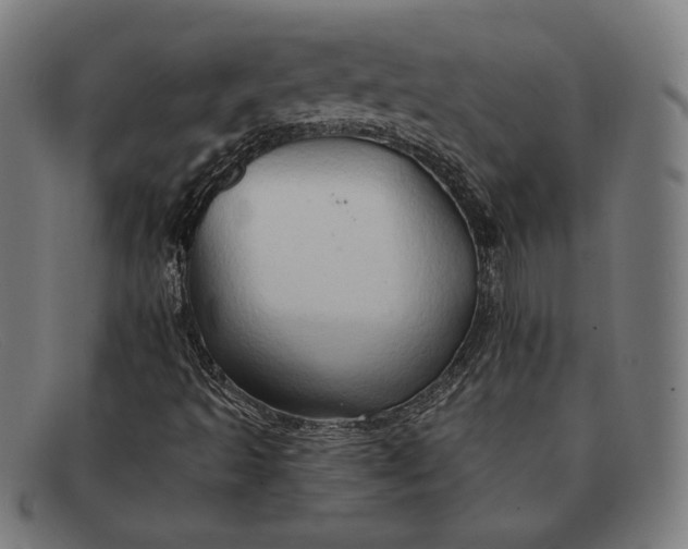 X0000091291493200708311306