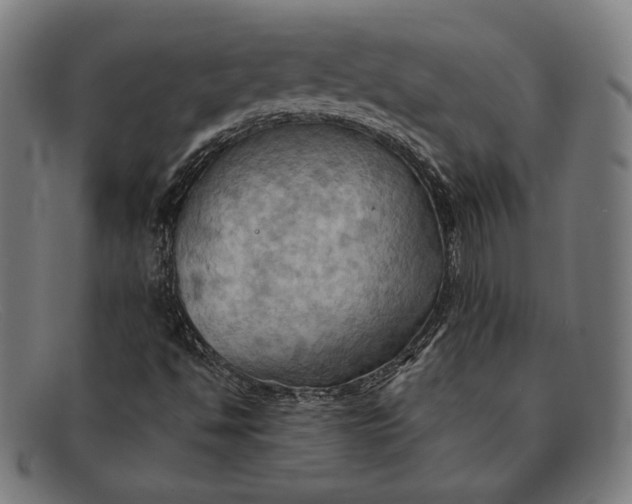 X0000091291494200708311306