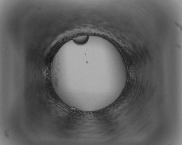 X0000091291495200708311306