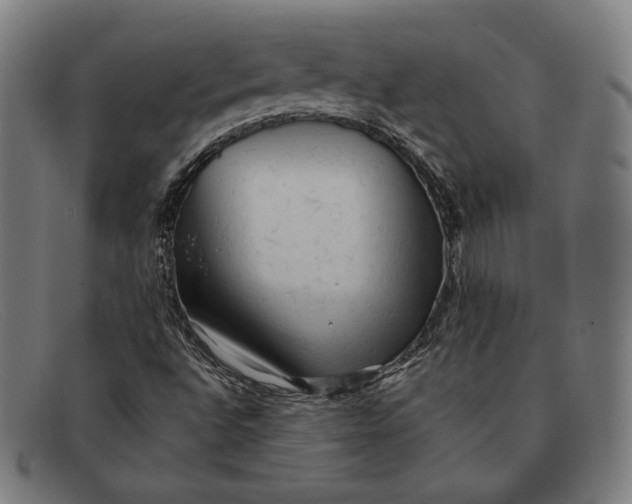 X0000091291496200708311306