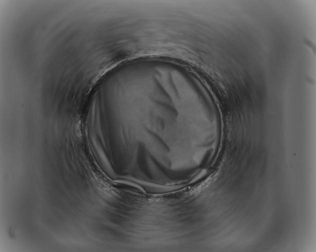 X0000091291497200708311306