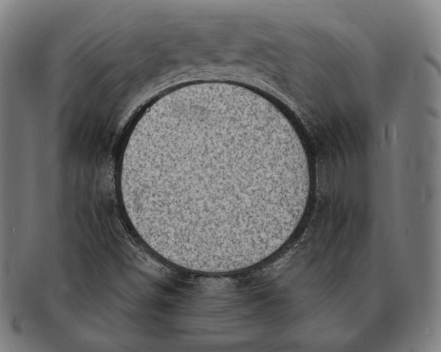 X0000091291498200708311306