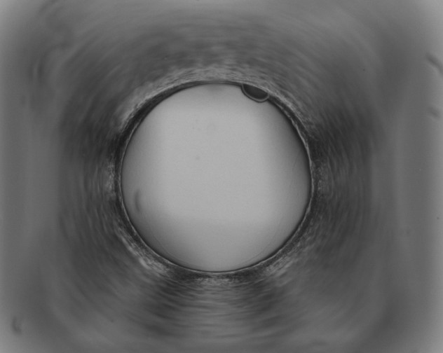 X0000091291499200708311306