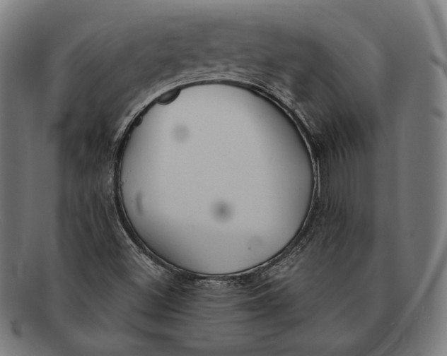 X0000091291500200708311307