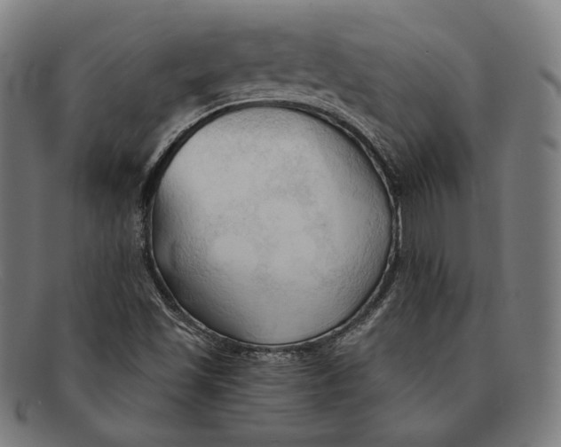 X0000091291501200708311307