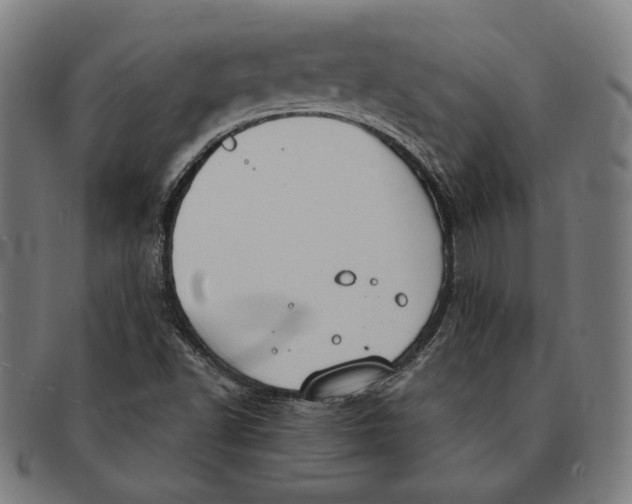 X0000091291502200708311307