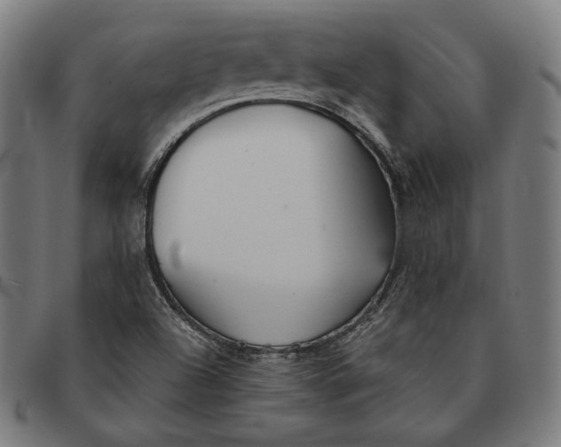 X0000091291504200708311307