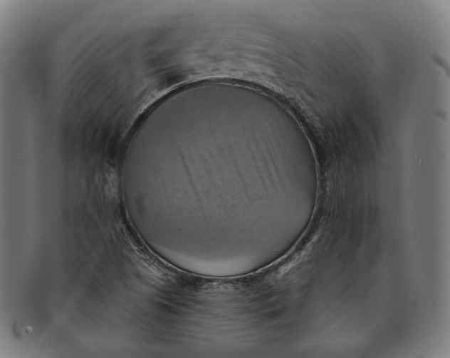 X0000091291505200708311307